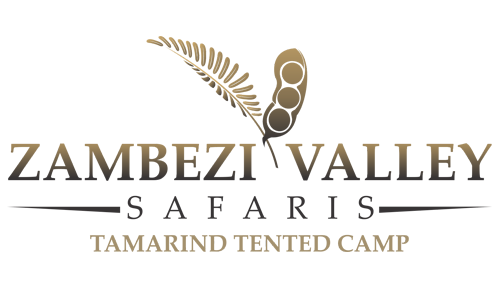 lemco safari area zimbabwe